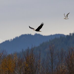 Canada 08-11-2025 0010.JPG