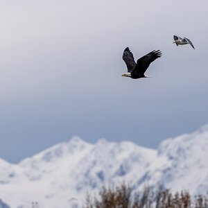 Canada 08-11-2025 0011.JPG