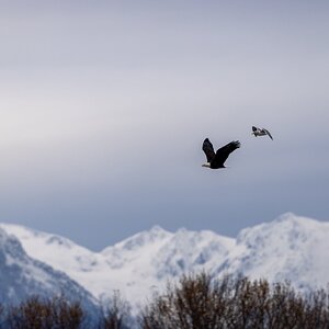 Canada 08-11-2025 0012.JPG