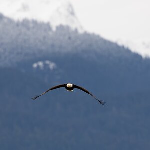 Canada 08-11-2025 0013.JPG