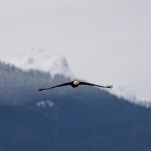 Canada 08-11-2025 0014.JPG