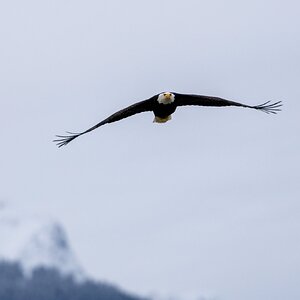 Canada 08-11-2025 0015.JPG