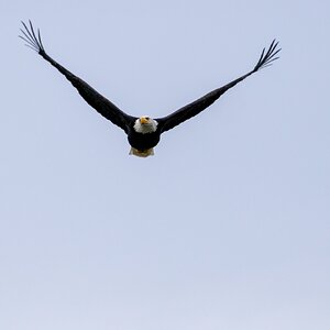 Canada 08-11-2025 0016.JPG