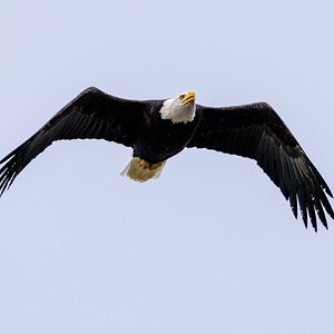 Canada 08-11-2025 0019.JPG