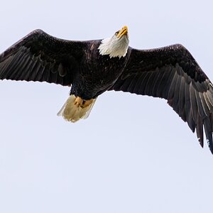 Canada 08-11-2025 0020.JPG