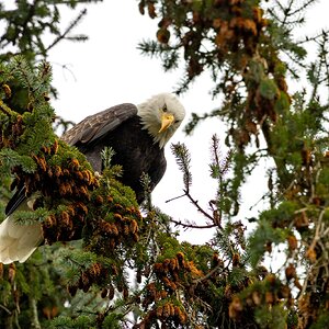 Canada 08-11-2025 0023.JPG