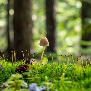 Canada 09-11-2025 0023.JPG