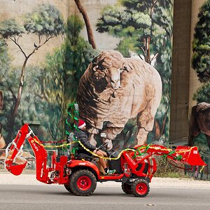 1E2A6961aug 3 25 strath.jpg