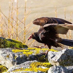 Canada 10-11-2025 0019.jpg