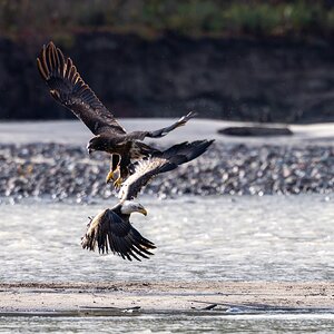 Canada 10-11-2025 0025.jpg