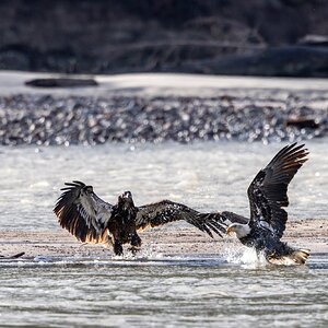 Canada 10-11-2025 0027.jpg