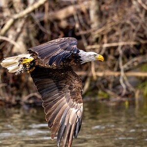 Canada 11-11-2025 0065.jpg