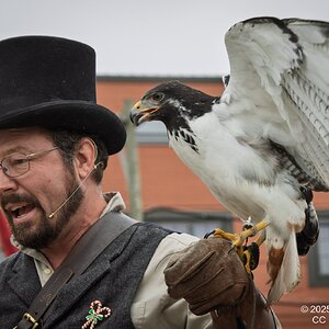 2025-066-198 Dickens on the Strand.jpg