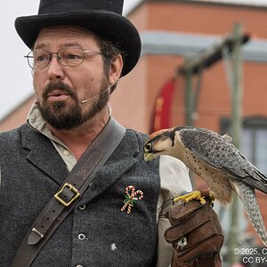 2025-066-240 Dickens on the Strand.jpg