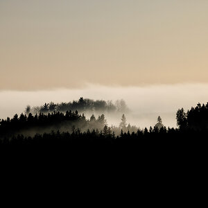 049 2025-12-13 Rotavské varhany.jpeg