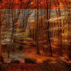 2025_10_120_LincolnWoods Autumn-ME-10055-56-Edit3000_2_Original.jpeg