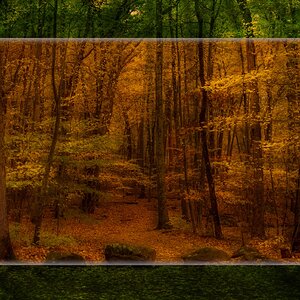 2025_10_120_LincolnWoods Autumn-ME-10055-56-Edit3000_3_Original.jpeg