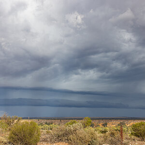 IH1_7275aug 3 25 strath.jpg