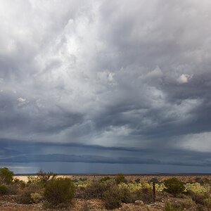 IH1_7276aug 3 25 strath.jpg