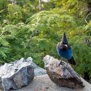 Canada 11-11-2025 0092.JPG