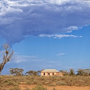 _H1_7541aug 3 25 strath.jpg