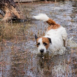 _H1_7532aug 3 25 strath.jpg