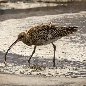 Media '013A1263.jpeg' in category 'Monthly R System Images'