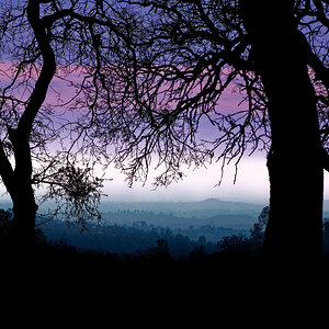 Media '2026_01_19_145630_2K.jpg' in category 'Monthly Competition Entries'