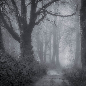 Media 'LE_14-3545.jpg' in category 'Monthly R System Images'