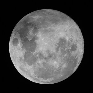 Moon 2026-02-01.jpg