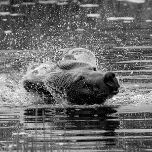 Canada 19-06-16  0230 B&W-2.JPG