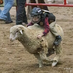 2026-004-094 Humble rodeo.jpg