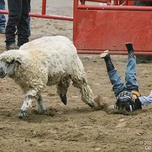 2026-004-114 Humble rodeo.jpg