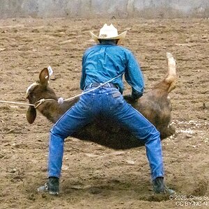2026-004-154 Humble rodeo.jpg