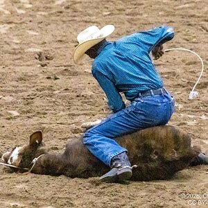 2026-004-163 Humble rodeo.jpg