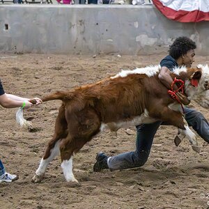 2026-004-327 Humble rodeo.jpg