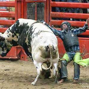 2026-004-393 Humble rodeo.jpg