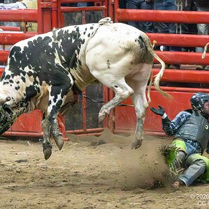 2026-004-396 Humble rodeo.jpg