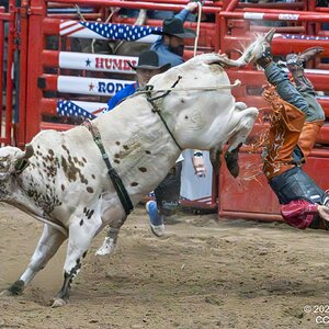 2026-004-517 Humble rodeo.jpg