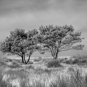 Media '15H-4P9A9212-Pano.jpg' in category 'Landscapes & Other Scapes'