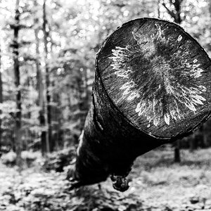 20140928_Urlaub Stocksee_0045.jpg