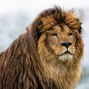 BCS 27-02-2026 0044.jpg