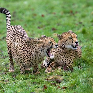 BCS 27-02-2026 0102.jpg