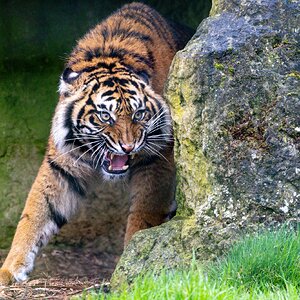 BCS 27-02-2026 0116.jpg