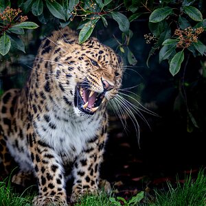 BCS 27-02-2026 0192.jpg