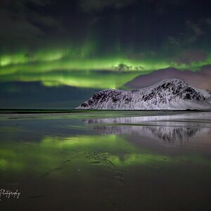 IMG_2323 CDF358EB.jpg