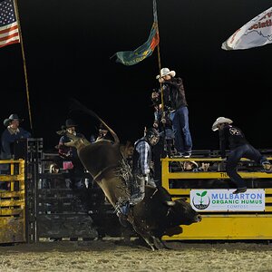 0K0A9825-DxO_DeepPRIME XD3_DxO.jpg