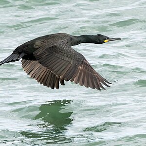 _73A7862-20260306-DxO_DeepPRIME XD3.jpg