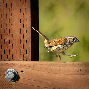 Media 'LE_14-2000.jpg' in category 'Non RF Lens Sample Image Threads'