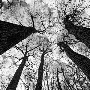 Wildlife refuge_Greenville.jpg